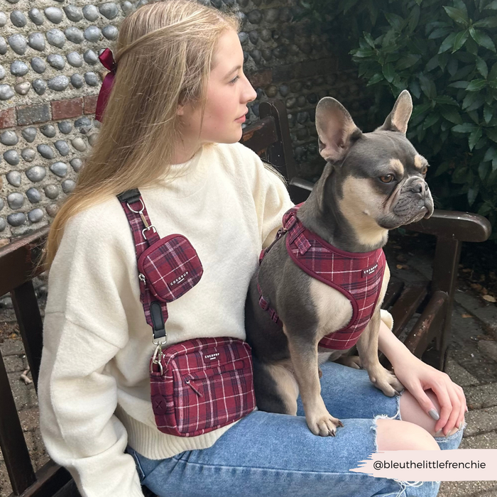 Woman and French Bulldog in matching red plaid with a Mulberry Plaid Cocopup London bag strap, sitting on a bench.