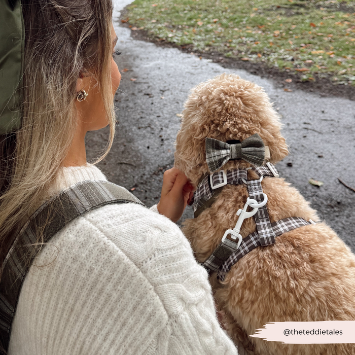 Curly-haired dog wearing an olive check harness, lead, and collar set walks beside a woman.