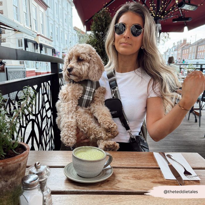 Woman in sunglasses holds a small dog wearing an olive check harness bundle at an outdoor café.