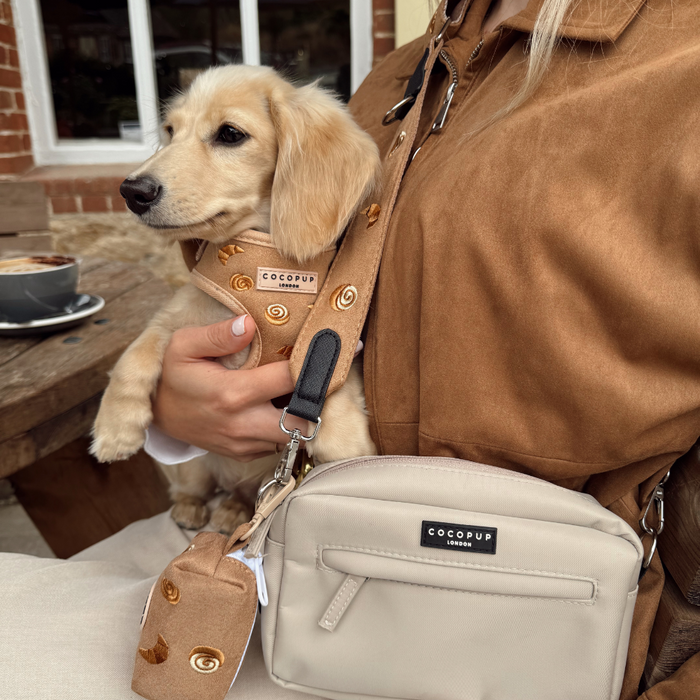 Beige puppy in a patterned Cocopup London Pawtisserie harness held by someone in a brown jacket at an outdoor café.