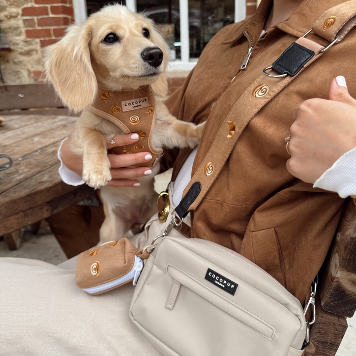 Dachshund puppy in a patterned Cocopup London Pawtisserie harness, with matching collar placed beside them.