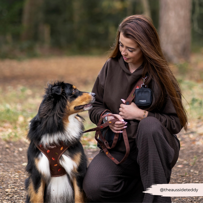 Woman in brown kneels in a park, smiling at a dog in a Cocopup London harness with a leaf-patterned bag strap.