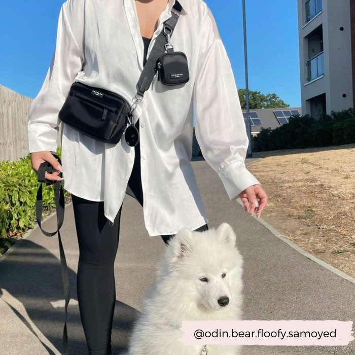 A person in a white shirt and black pants walks a fluffy white Samoyed puppy on a leash outside. The person carries a black crossbody bag with an adjustable **Bag Strap - Plain Black** by **Cocopup London** and walks on a paved path near a building and a fence. The Instagram handle @odin.bear.floofy.samoyed is visible at the bottom.