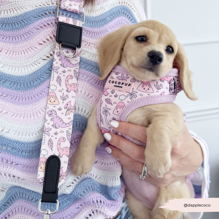 Puppy in a pink Princess Dino harness, held by a person, with a matching Cocopup London dog walking bag.