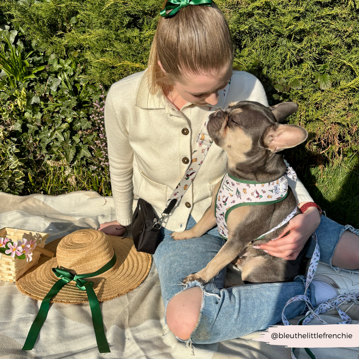 Woman outdoors with French Bulldog beside a beige Cocopup London bag strap featuring a playful puddle print.