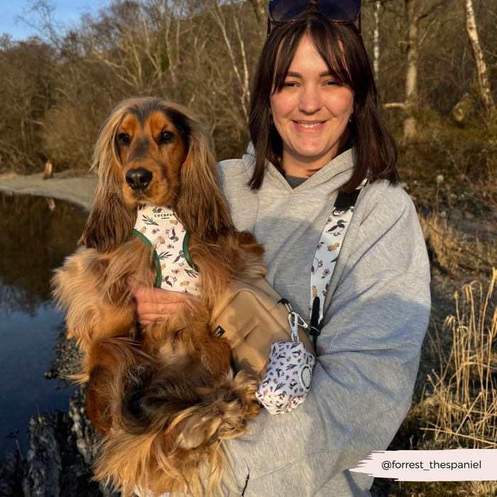 Woman by a lake with her spaniel, wearing Cocopup London’s Puddle Pup adjustable bag strap in a colorful pattern.