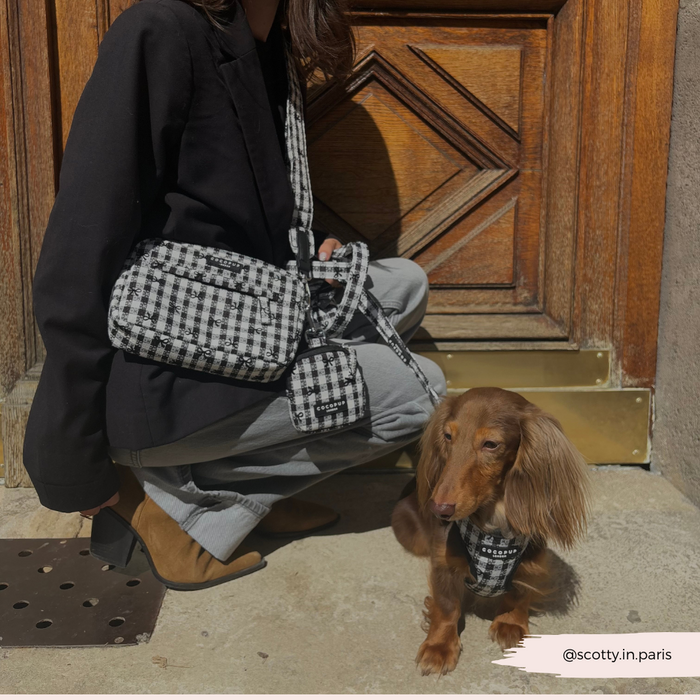 Brown dog in checkered harness beside person in black blazer; matching Cocopup Pup in Paris bag strap visible.