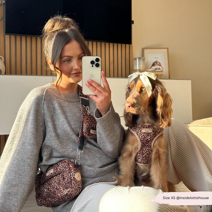 Woman in grey sweater taking selfie with brown dog wearing a quilted leopard-print treat pouch.