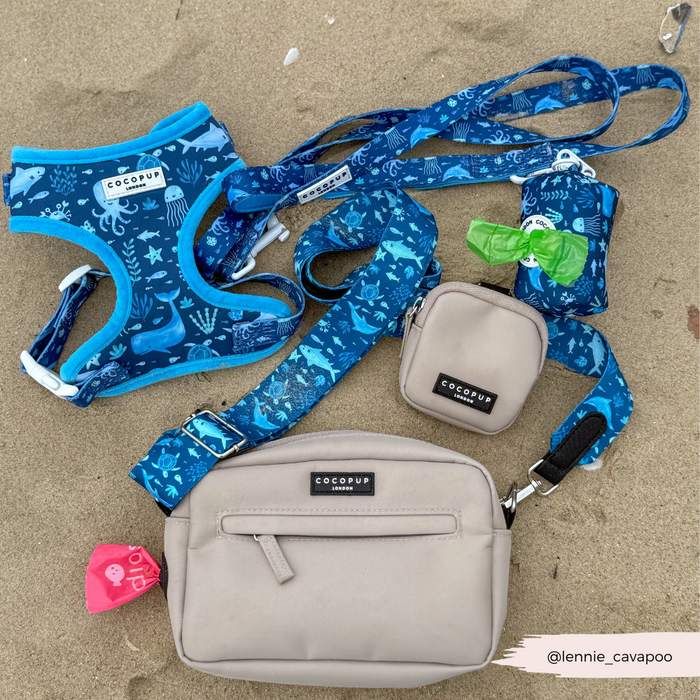 Sea Life Pawty harness, lead, and collar set with ocean-themed print, waste bag holder and crossbody bag on sand.