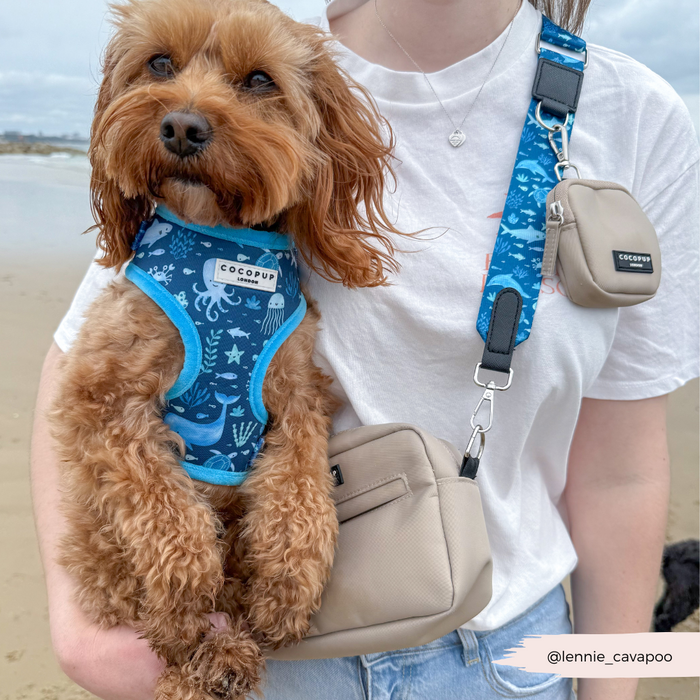 Woman on beach holding brown dog wearing a blue Cocopup London harness with sea life pattern and adjustable neck.