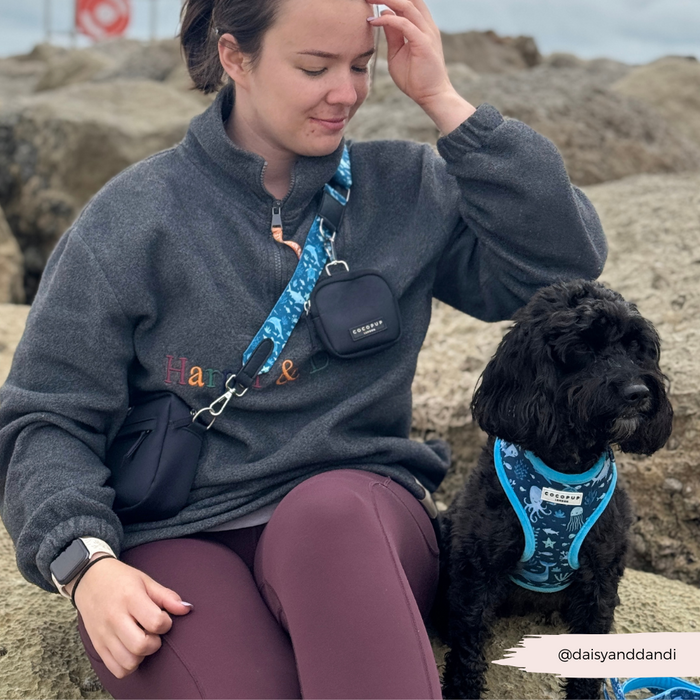 Black dog in a blue Cocopup London Sea Life Pawty harness sits on rocks beside a woman; both are looking away.