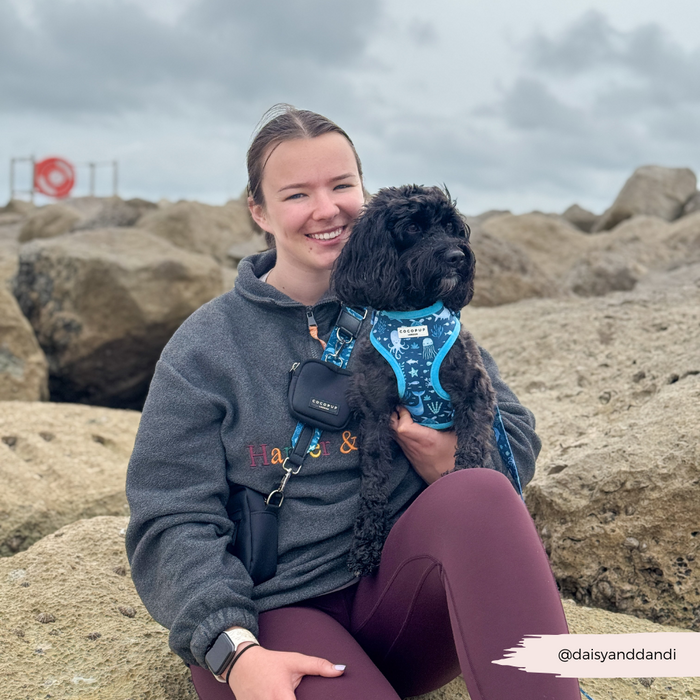 Woman on seaside rocks holds black dog wearing Cocopup London Sea Life Pawty adjustable neck harness in ocean-themed print.