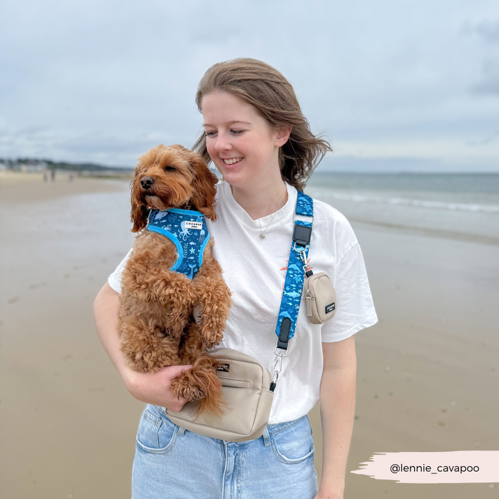 Woman smiles, holding a brown dog wearing a blue Sea Life Pawty harness by Cocopup London on sandy beach by the ocean.