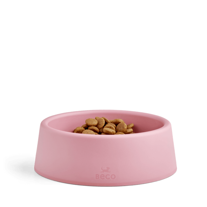 Beco Steady Dog Bowl in pink filled with dry food