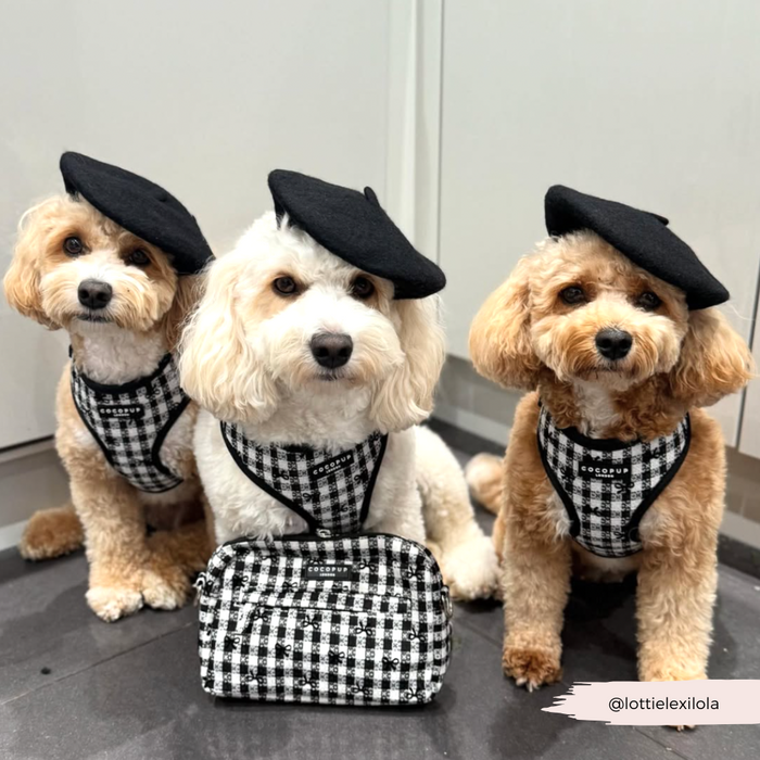 Three fluffy dogs indoors wearing black berets and plaid Cocopup London harnesses; one sits with a matching plaid bag.