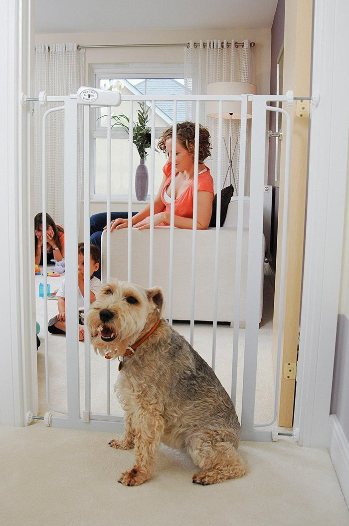White Bettacare pet gate fitted in a doorway with a terrier sitting in front of it