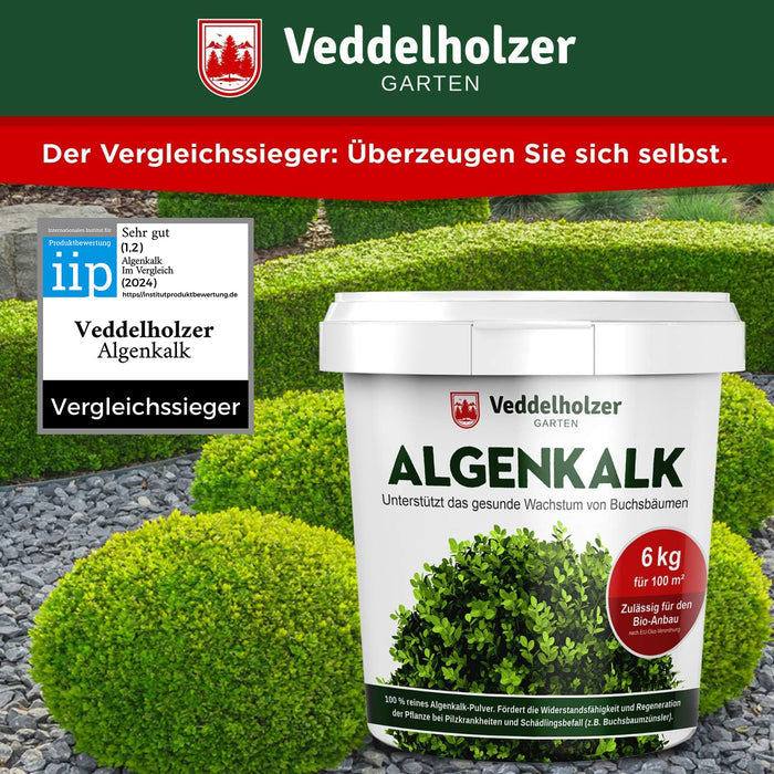 Eimer auf Kies zwischen kugelrund geschnittenen Buchsbäumen, links das iip-Siegel „Vergleichssieger“