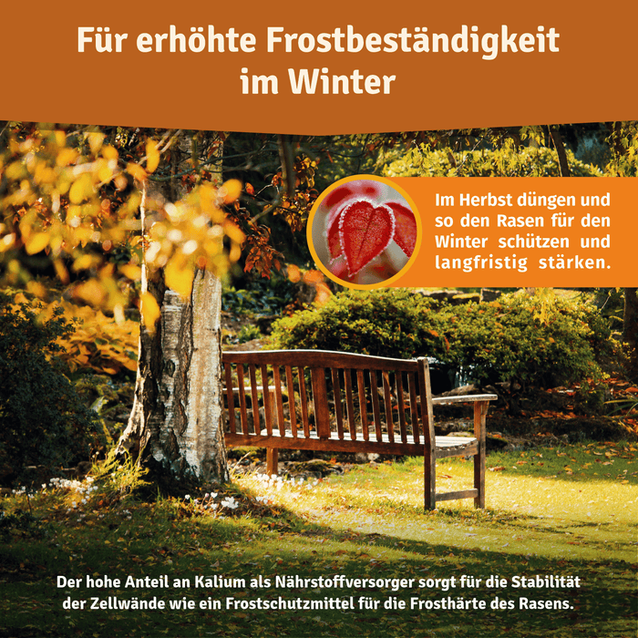 Herbstlicher Garten mit Holzbank unter gelb belaubtem Baum, Hinweis auf Kalium für die Frosthärte des Rasens
