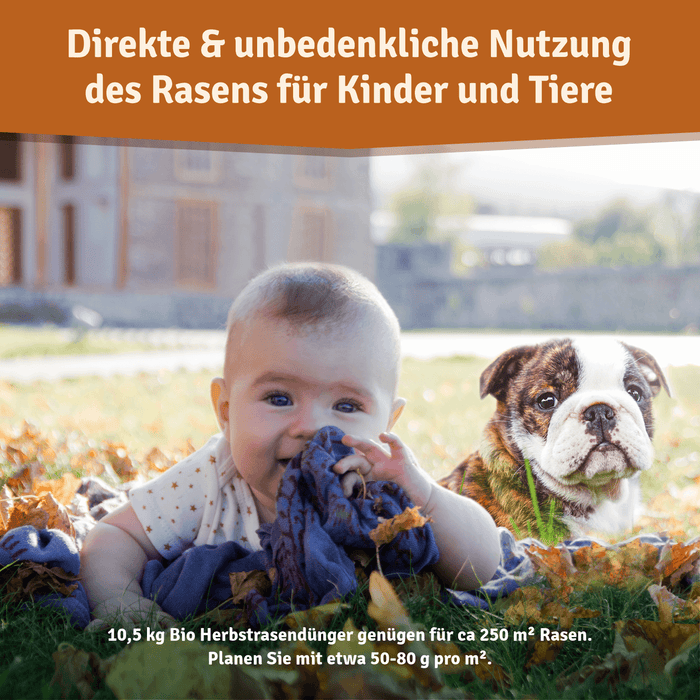 Baby und englische Bulldogge liegen im Herbstlaub auf dem Rasen; Angabe 50–80 g pro m² für rund 250 m²