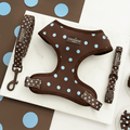 A brown dog harness, lead and collar with light blue polka dot design. Featuring brown hardware.