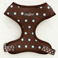 A brown dog harness with light blue polka dot design. Featuring brown hardware.