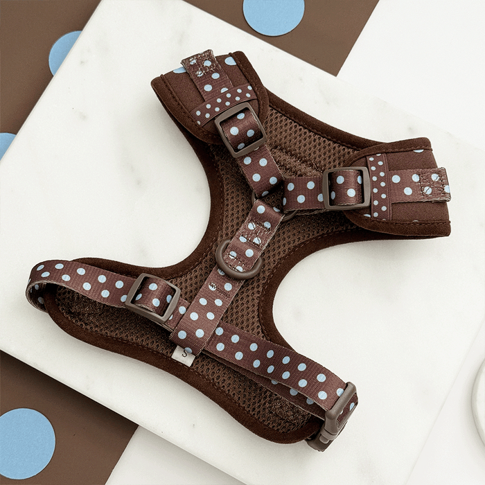 A brown dog harness with light blue polka dot design. Featuring brown hardware.
