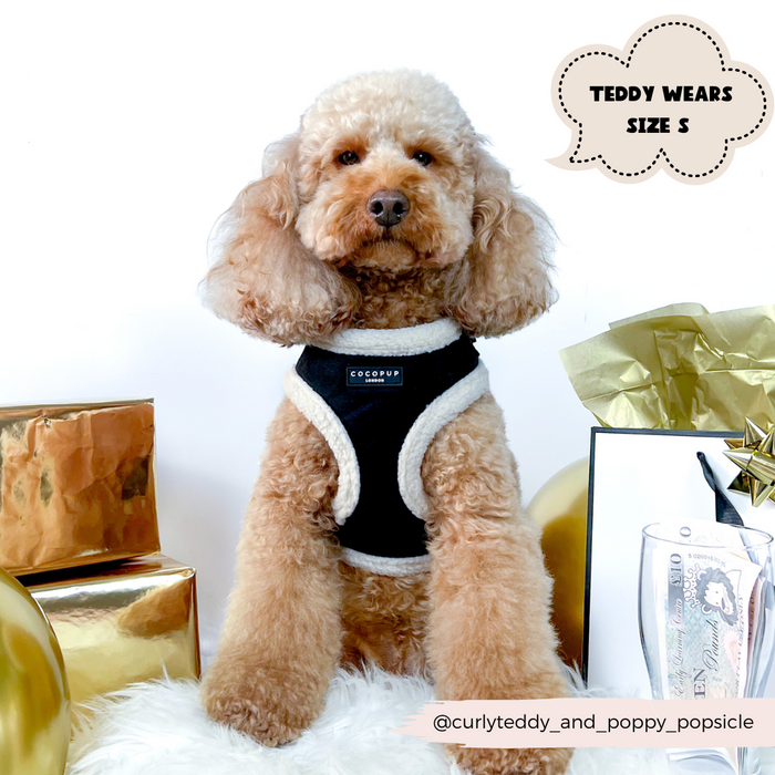 A curly-haired dog wearing a Black Aviator Adjustable Neck Harness from Cocopup London sits among golden boxes and a white fur rug. A speech bubble near the dog reads "TEDDY WEARS SIZE S." The Instagram handle @curlyteddy_and_poppy_popsicle is displayed at the bottom right corner.
