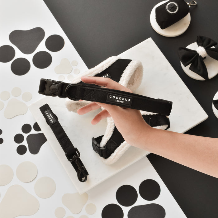 Hand holding black Aviator collar by Cocopup London, with assorted pet accessories on a marble tray.