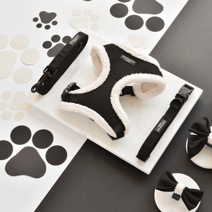 Black aviator-style collar set with leash and bowtie displayed on a marble tray with paw print designs.