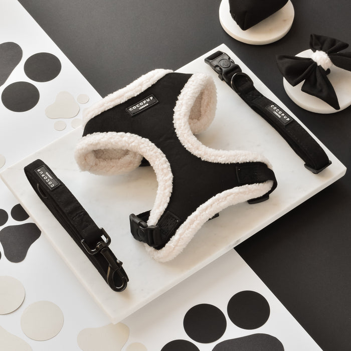 Black Aviator dog lead with padded faux suede handle and bow tie, displayed on a marble tray with paw prints.
