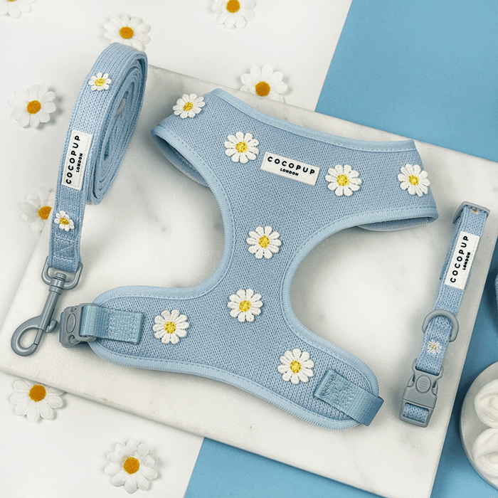 Blue dog Harness, Lead & Collar with white flower decals.