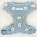 Blue dog Harness with white flower decals.