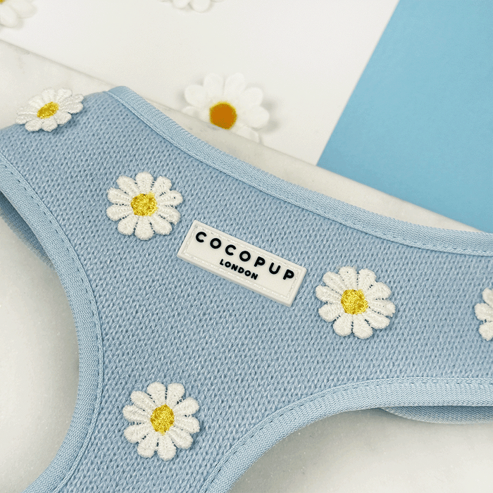 Blue dog Harness with white flower decals.