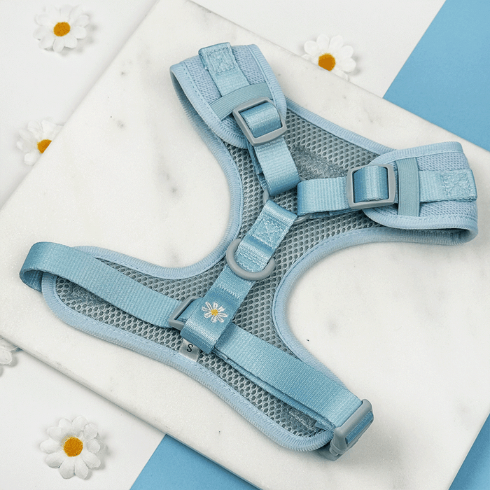 Blue dog Harness with white flower decals.