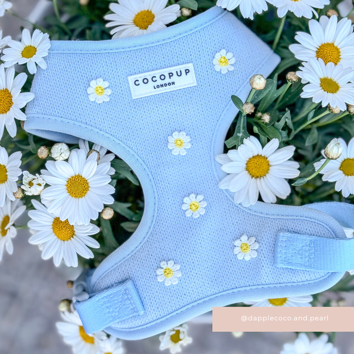 Blue dog harness, lead, and collar set with white daisy print from Cocopup London.