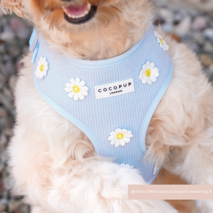 Blue dog harness, lead, and collar set with white daisy pattern from Cocopup London, adjustable fit.