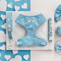 Blue cord harness, lead, and collar set with white heart pattern on marble background.