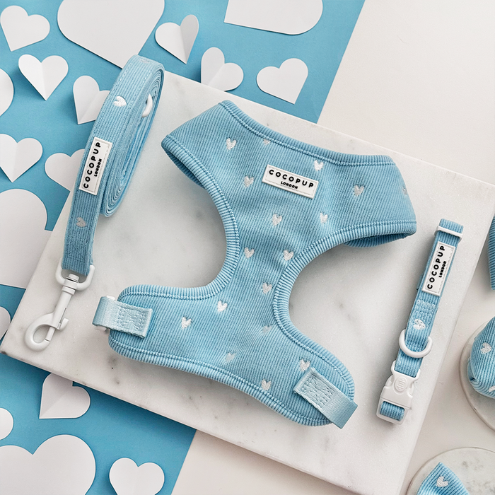 Blue cord harness, lead, and collar set with heart print accents, displayed on a heart-themed background.