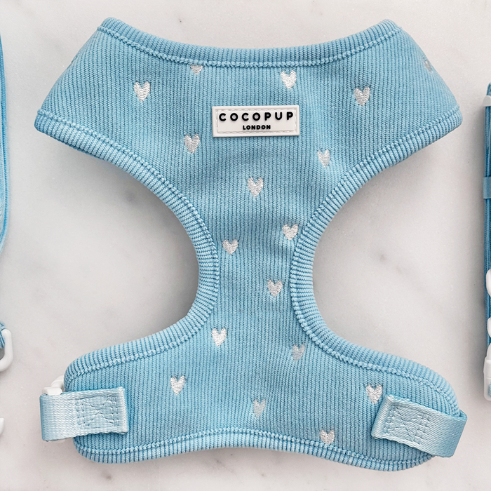 Light blue dog harness with adjustable neck, decorated with white heart pattern.