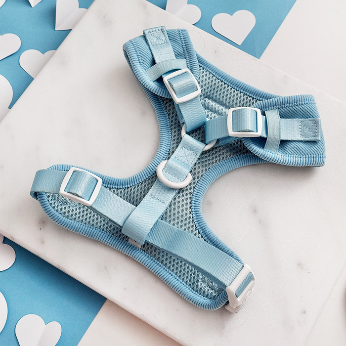 Blue cord adjustable neck harness with heart pattern details, displayed on a marble surface.