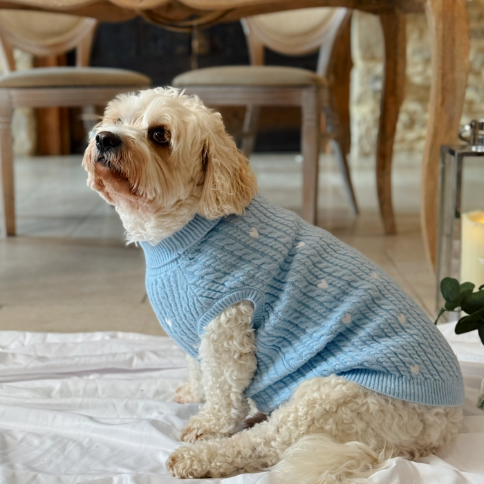 Small white dog wearing a blue cable knit Cocopup London jumper with heart design, sitting on a white blanket indoors.