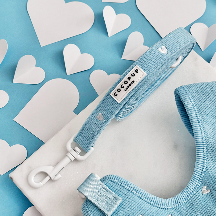 Blue Heartstrings cord dog lead by Cocopup London on a white surface with blue background and scattered paper hearts.