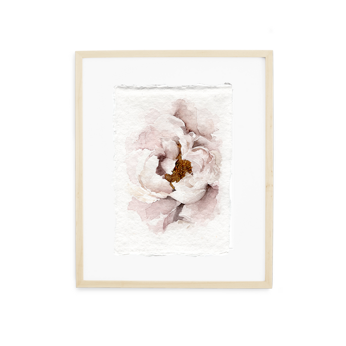 Blush Peony | 5x7