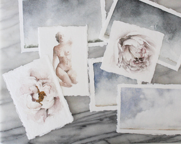 Blush Peony | 5x7