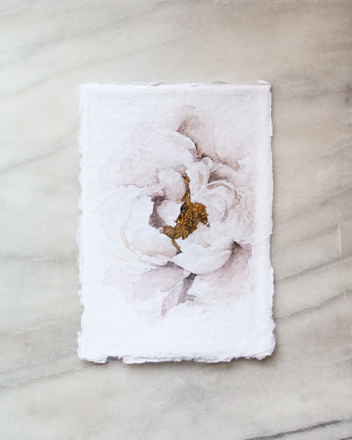 Blush Peony | 5x7