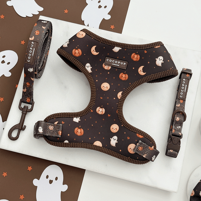 Brown dog harness, lead and collar with cute Halloween print featuring pumpkins, ghosts, and moons.