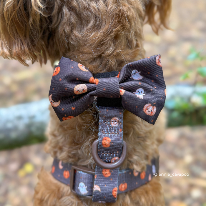 A close-up of a brown curly-haired dog wearing a dark brown Halloween-themed fabric bow tie and matching harness with orange pumpkins, white ghosts, and small orange dots, outdoors on a blurred forest floor background.