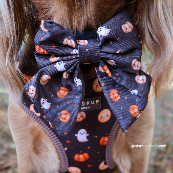 A close-up of a dog wearing a large brown bow and matching harness with an orange, white, and pumpkin and ghost pattern.