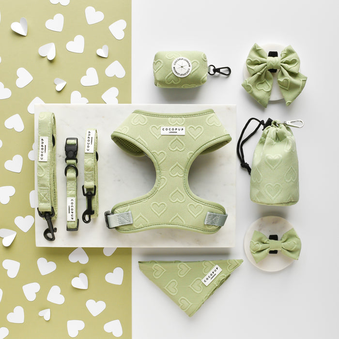 Sage green dog bow tie with white heart print pattern.