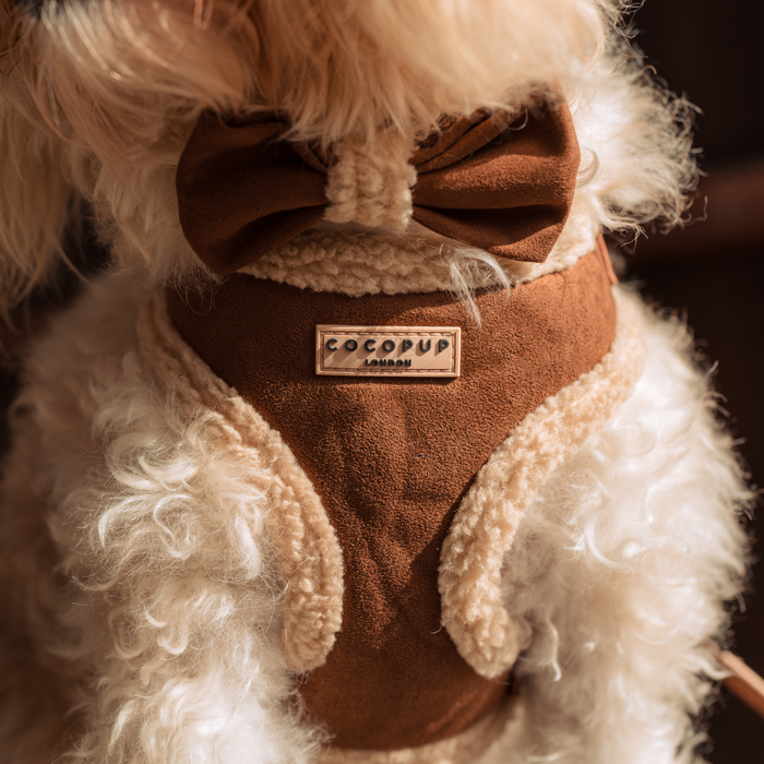 Close-up of a fluffy white dog wearing a Brown Aviator Adjustable Neck Harness with faux shearling trim and a matching brown bow tie. The harness has a label that reads "Cocopup London". The setting appears to be indoors.
